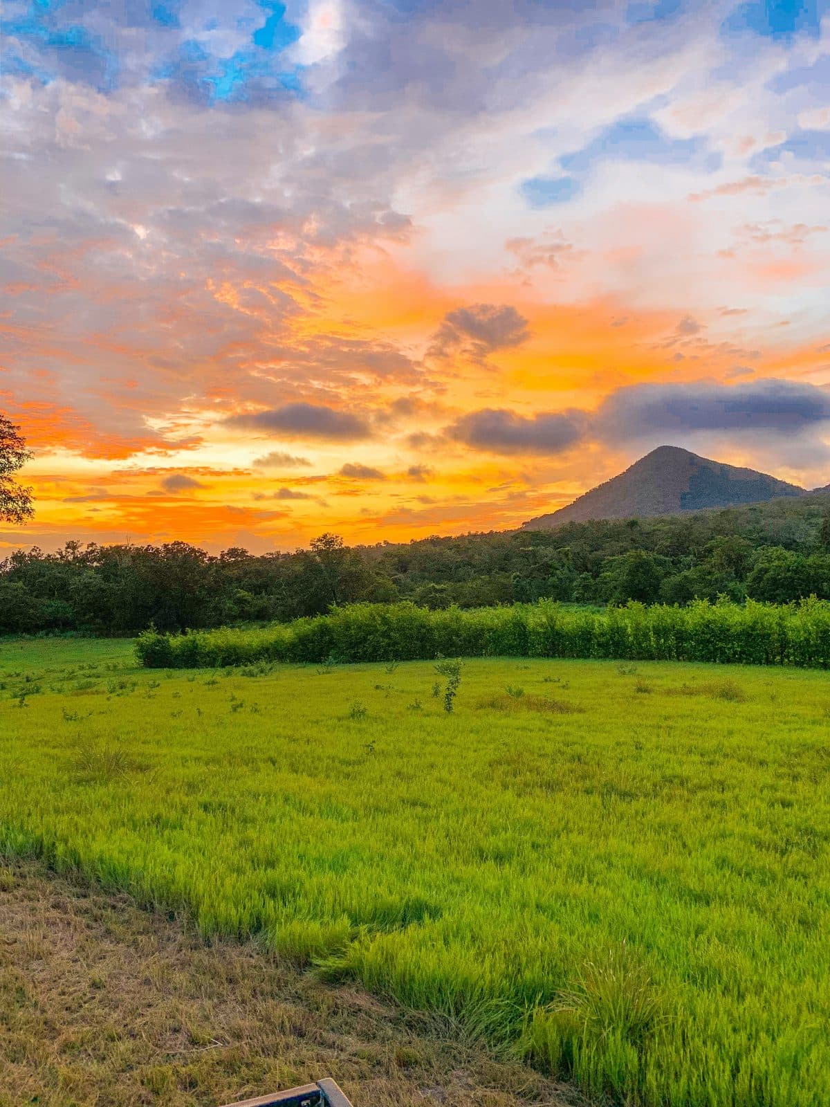 Terreno verde con un cerro al fondo al atardecer